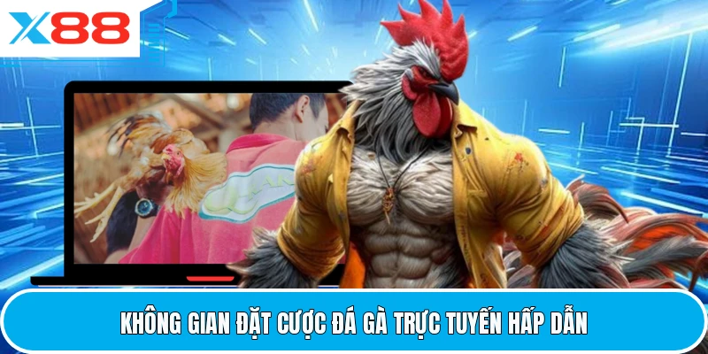 Không gian đặt cược đá gà trực tuyến hấp dẫn